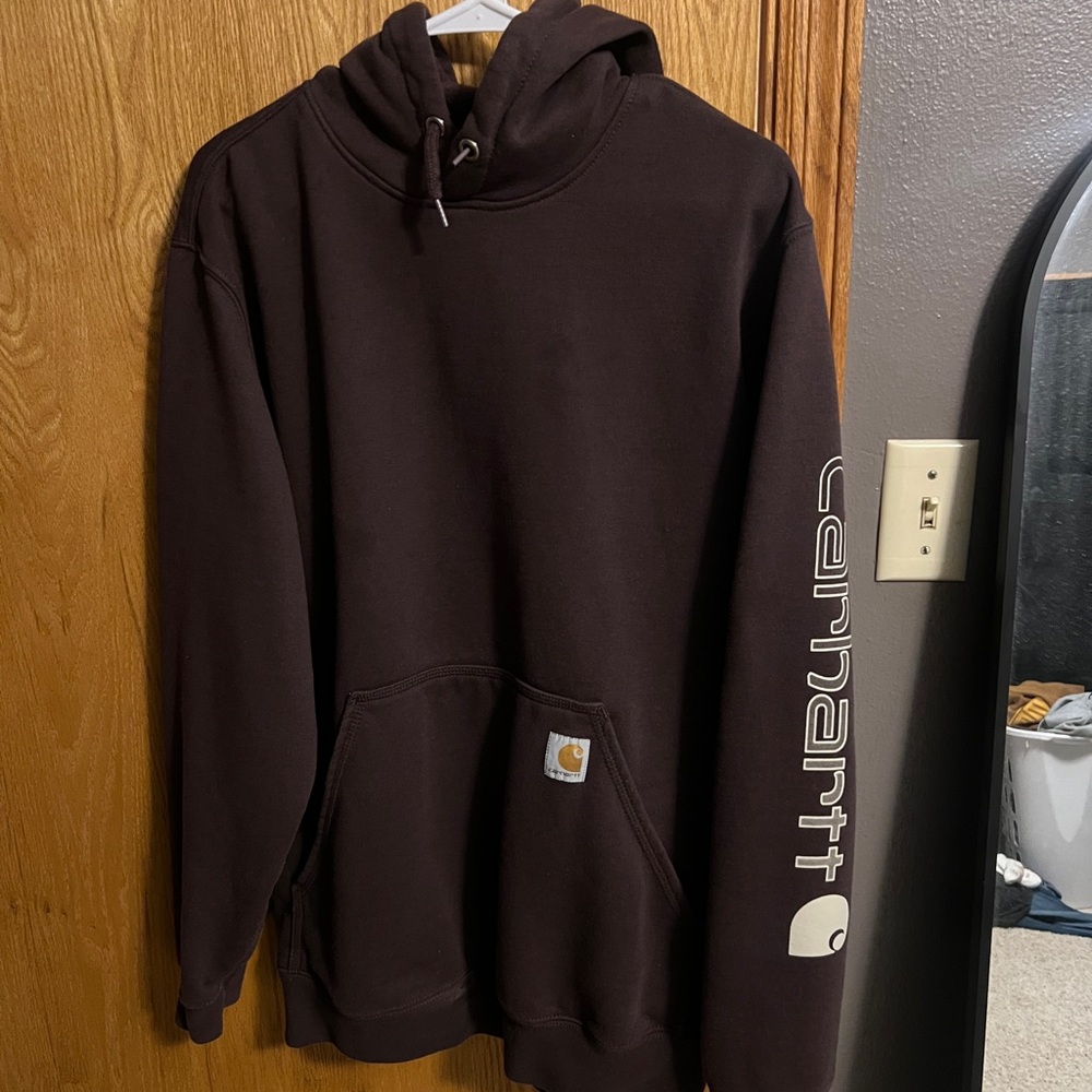 Carhartt Men's Dark maroon Hoodie